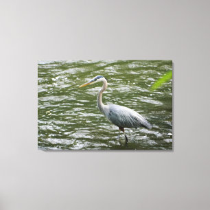 Great Blue Heron Wrapped Canvas Print