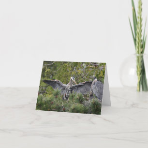 Great Blue Herons and their Babies Card