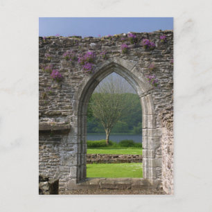 Great Britain, United Kingdom, Scotland. Ruins Postcard