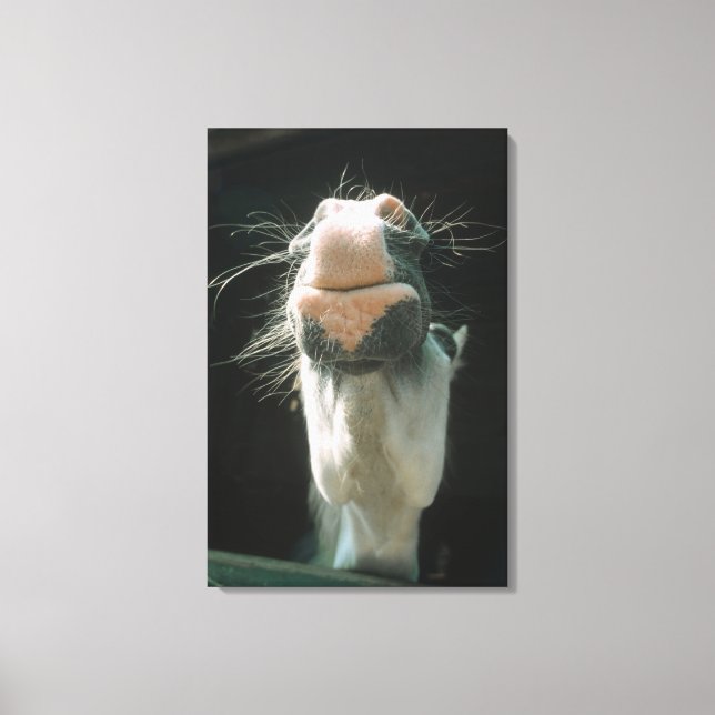 Great Britian Canvas Print (Front)