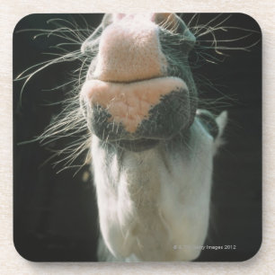 Great Britian Coaster