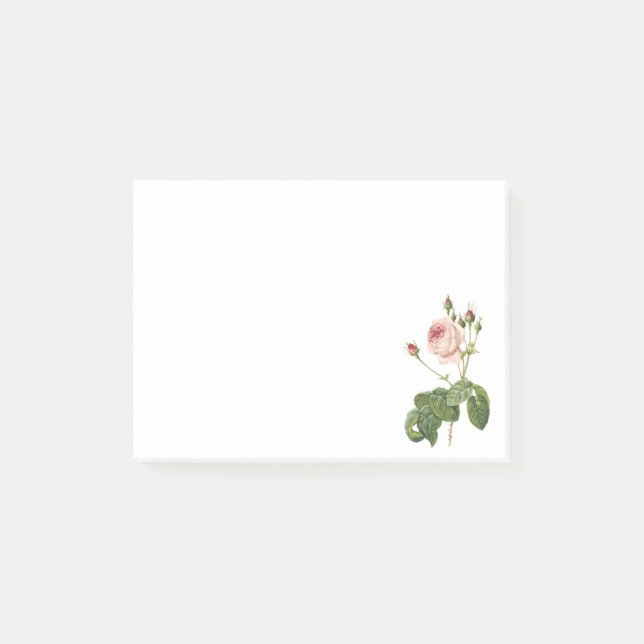 great cabbage-leaved rose by Redouté Post-it Notes (Front)