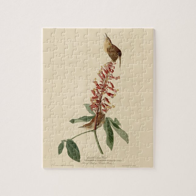 Great Carolina Wren - Audubon's Birds of America Jigsaw Puzzle (Vertical)