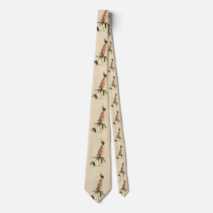 Great Carolina Wren - Audubon's Birds of America Tie