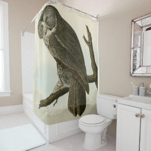 Great Cinereous Owl from Audubon Birds of America