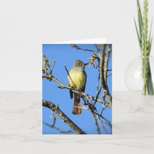 Great Crested Flycatcher blank inside Card