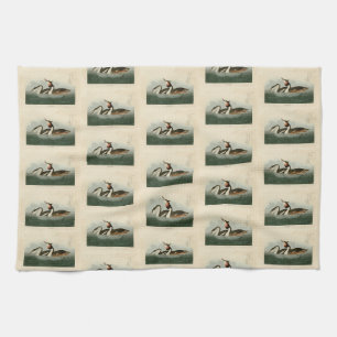 Great Crested Grebe - Audubon's Birds of America Kitchen Towel