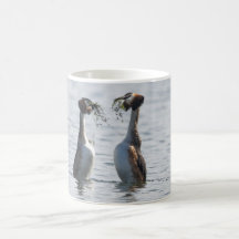 Great Crested Grebe Mug