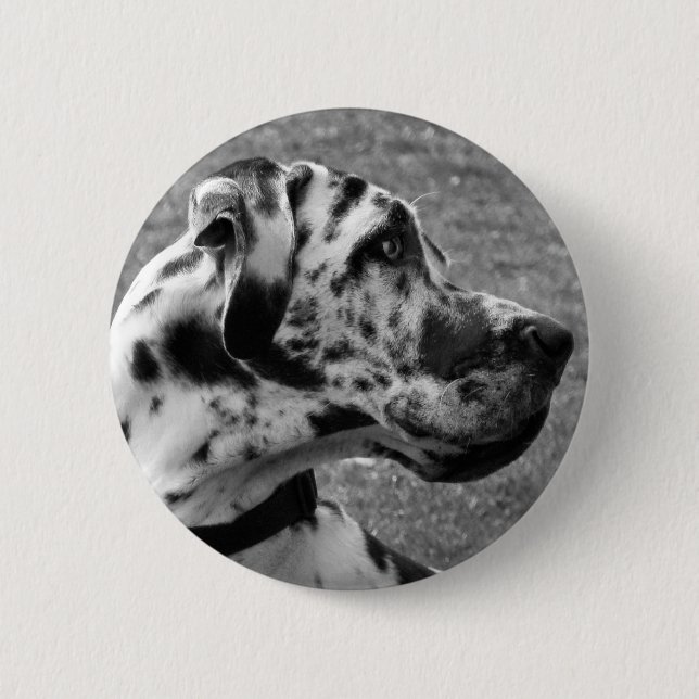 GREAT DANE 2 INCH ROUND BUTTON (Front)