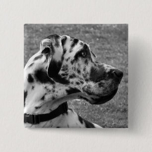 GREAT DANE 2 INCH SQUARE BUTTON