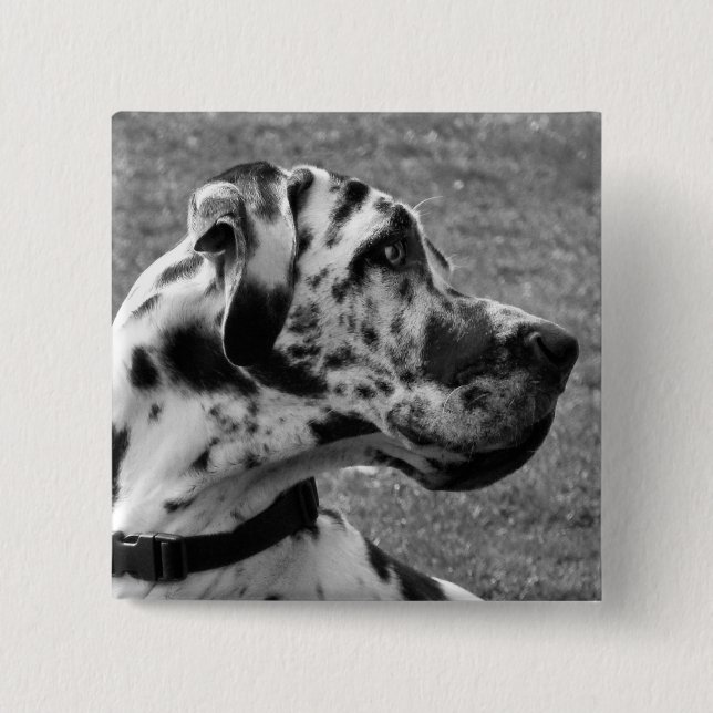 GREAT DANE 2 INCH SQUARE BUTTON (Front)