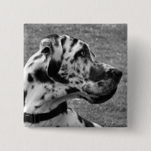 GREAT DANE 2 INCH SQUARE BUTTON