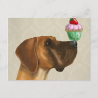 Great Dane and Cupcake