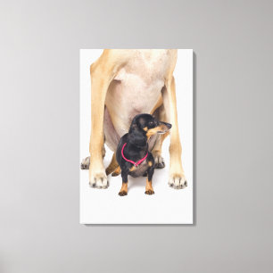 Great Dane and Dachshund portrait Canvas Print
