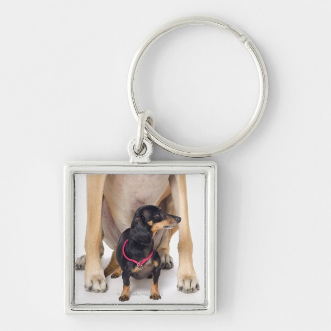 Great Dane and Dachshund portrait Keychain (Front)