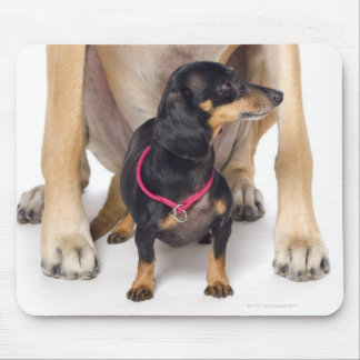 Great Dane and Dachshund portrait Mouse Pad