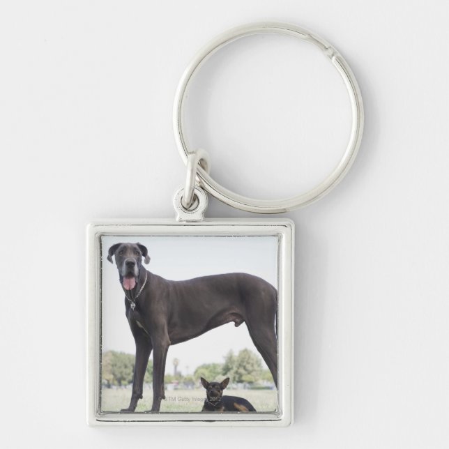 Great dane and small mixed-breed dog keychain (Front)