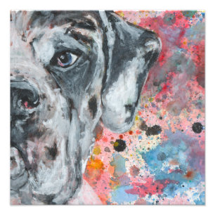 Great Dane art Photo Print