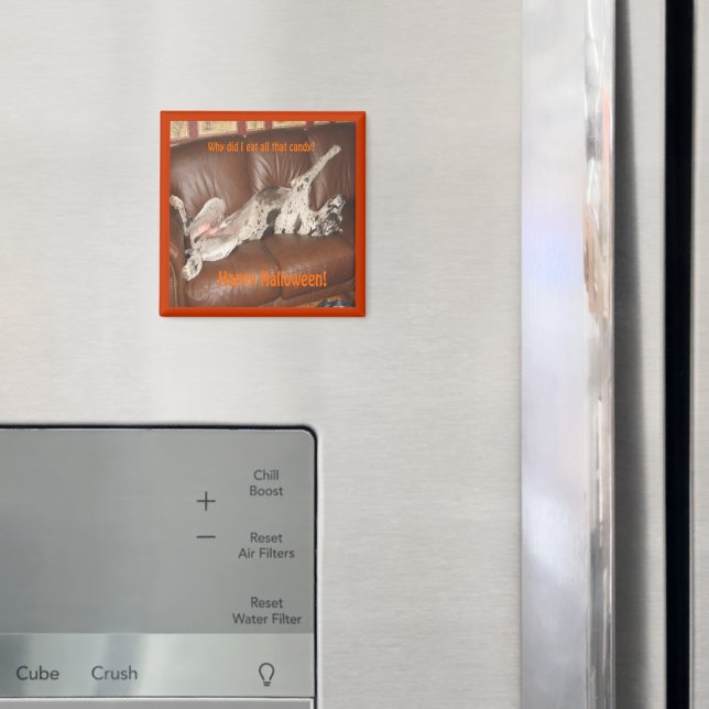 Great Dane Ate Too Much Halloween Candy Magnet (In Situ (Fridge))