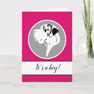 Great Dane Big Head merle Announcement