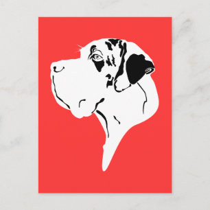 Great Dane Big Head merle Postcard
