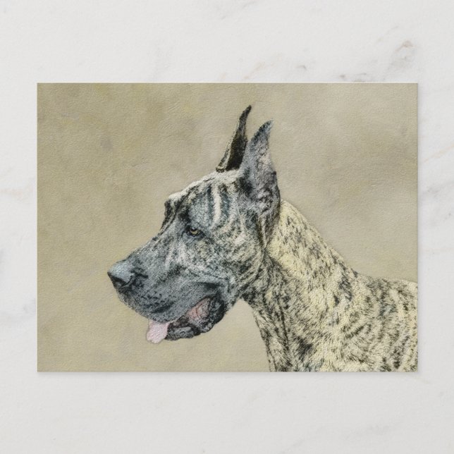 Great Dane (Brindle) Painting - Original Dog Art Postcard (Front)