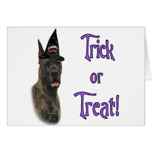 Great Dane (brindle) Trick