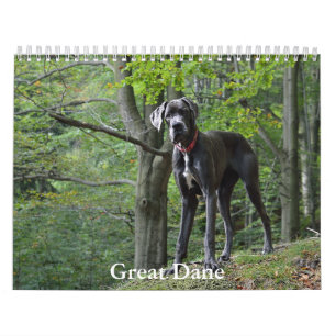 Great Dane Calendar