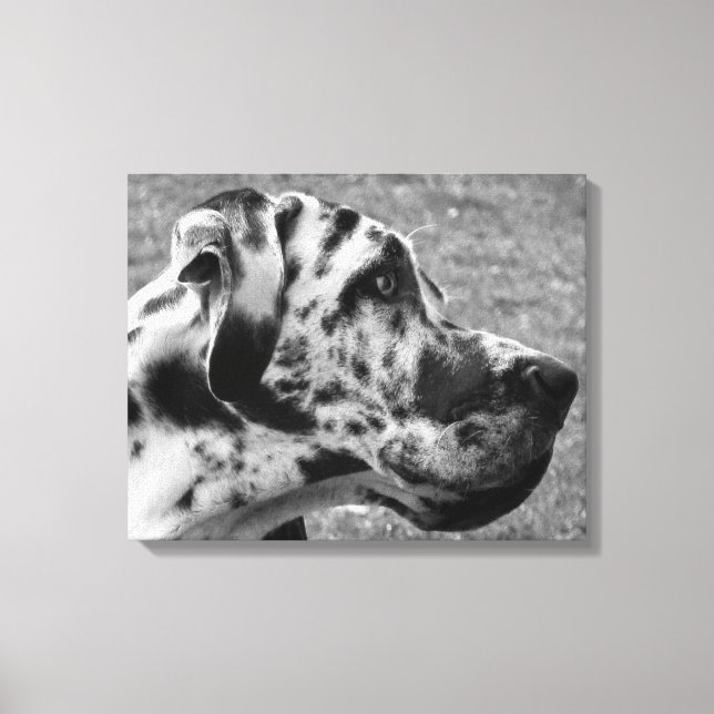 GREAT DANE CANVAS PRINT (Front)