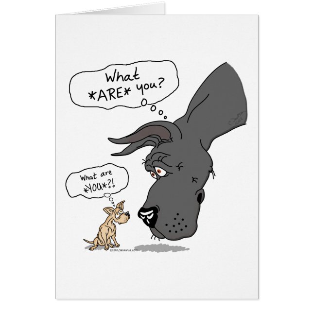 Great Dane & Chihuahua Black (Devant)