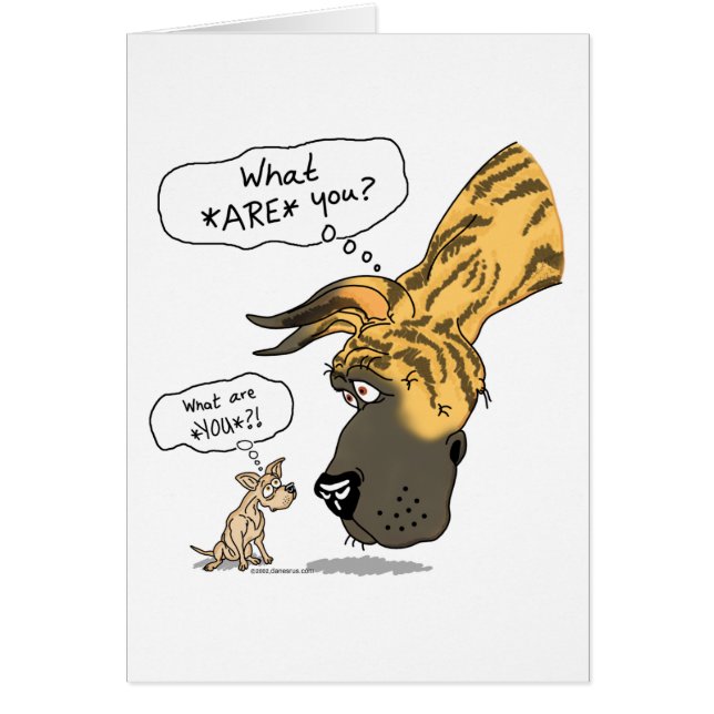 Great Dane & Chihuahua Brindle (Devant)