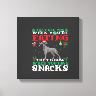 Great Dane Christmas fun Classic T-Shirt Canvas Print