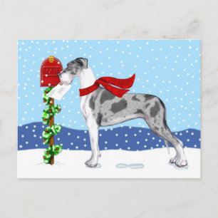 Great Dane Christmas Mail Merle UC Holiday Postcard