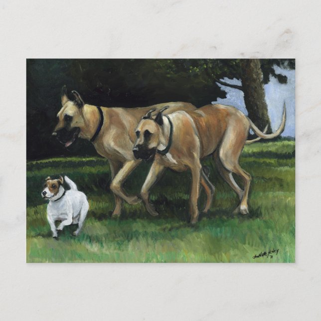 Great Dane Dog Art Postcard (Front)