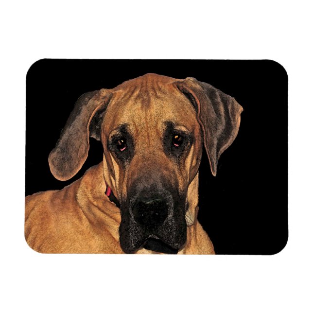 Great Dane Dog Flexible Magnet (Horizontal)