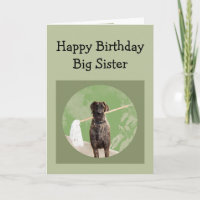 Great Dane Dog Humour for Birthday Big Sister Fun