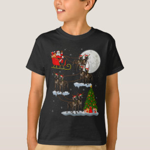 Great Dane Dog Santa Sleigh Flying Funny Magical C T-Shirt