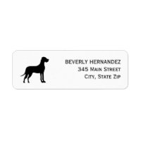 Great Dane Dog Walker Trainer Puppy sitting
