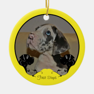 Great Dane Fotografic Ornament