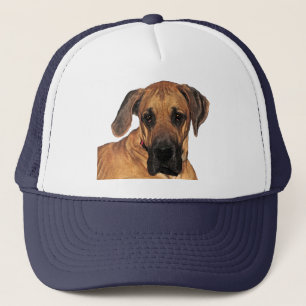 Great Dane Gentle Casquette Géant