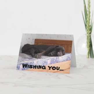 Great Dane - Get Well Soon Card