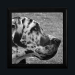 GREAT DANE GIFT BOX<br><div class="desc">A beautiful black and white design of a Great Dane dog. England UK.</div>