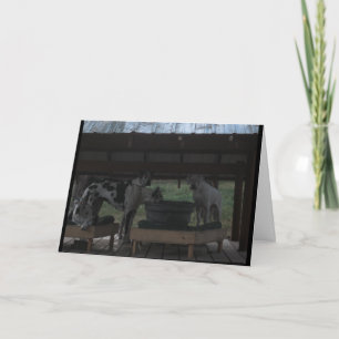 Great Dane Halloween Card