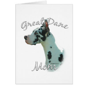 Great Dane (harlequin) Mom 2