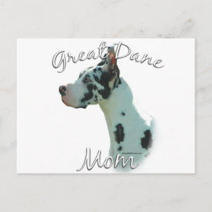 Great Dane (harlequin) Mom 2 Postcard