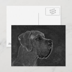 Great Dane Head Charcoal Drawing Postcard