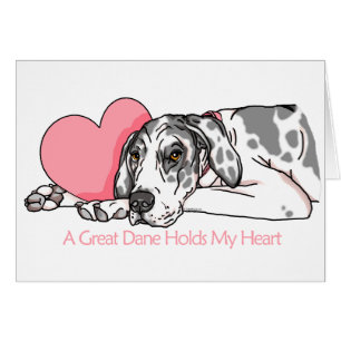 Great Dane Holds Heart Harlequin UC