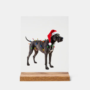 Great Dane Holiday Christmas Light (4) Acrylic Sign
