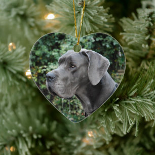 Great Dane Images Ceramic Ornament