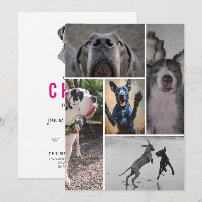 Great Dane Invitation (Front/Back)